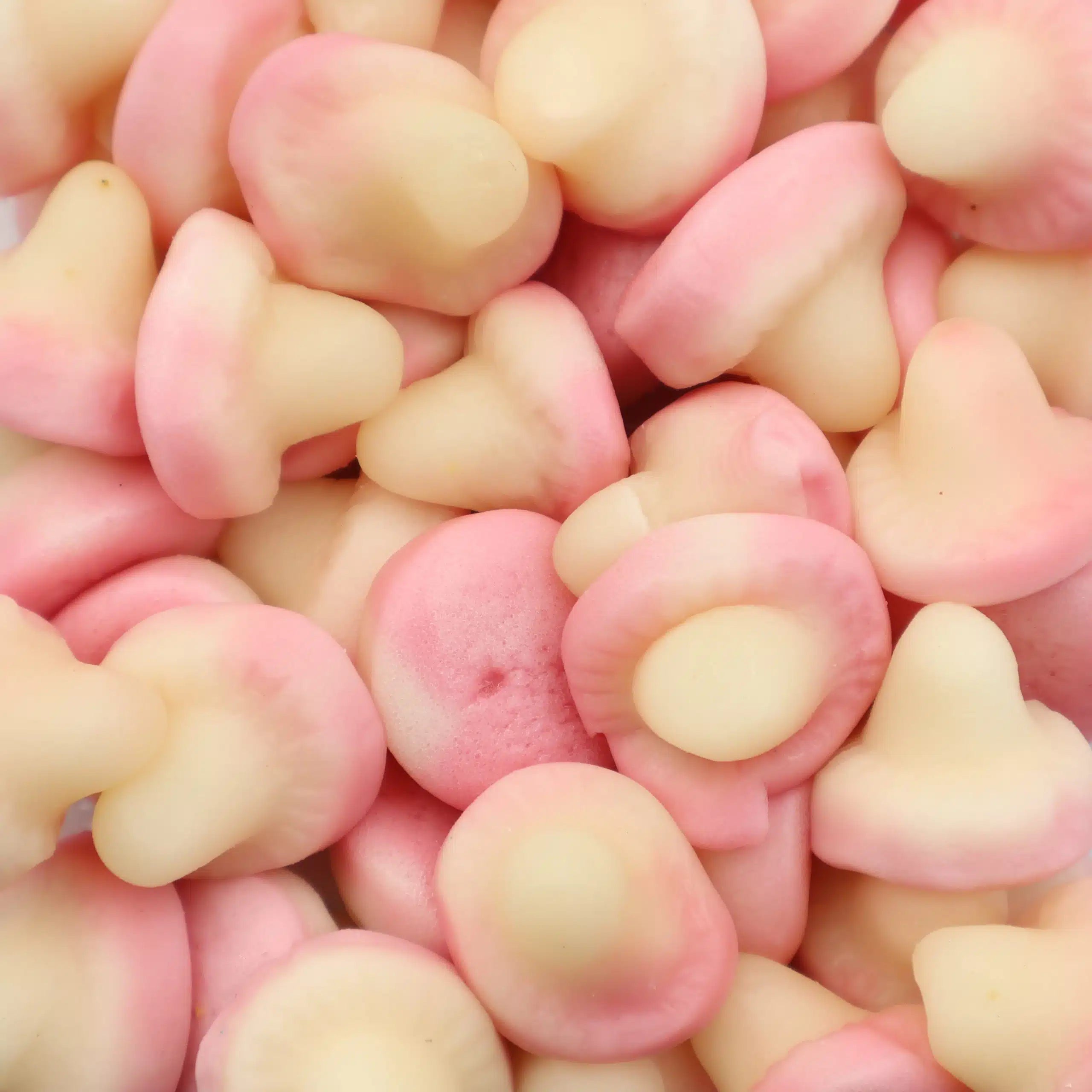 Dulceplus Pilze Halal Fruchtgummis 1 kg